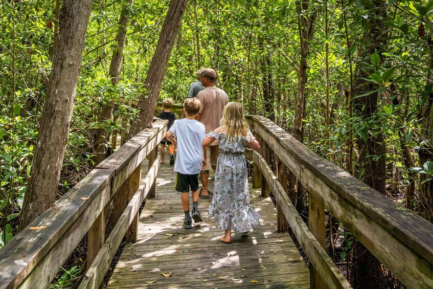 Picture 6 for Activity Everglades: Mangrove Maze Airboat Tour and Boardwalk