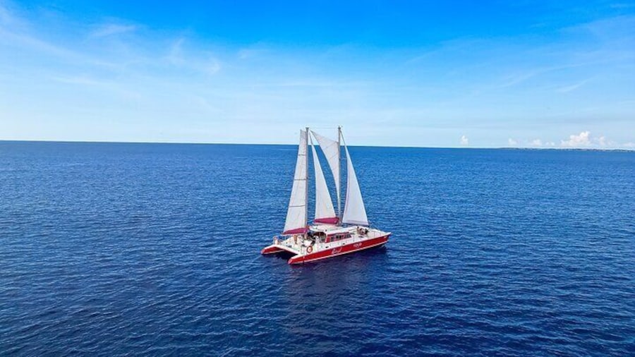Guided Morning Sail to Boca Catalina with BBQ Lunch