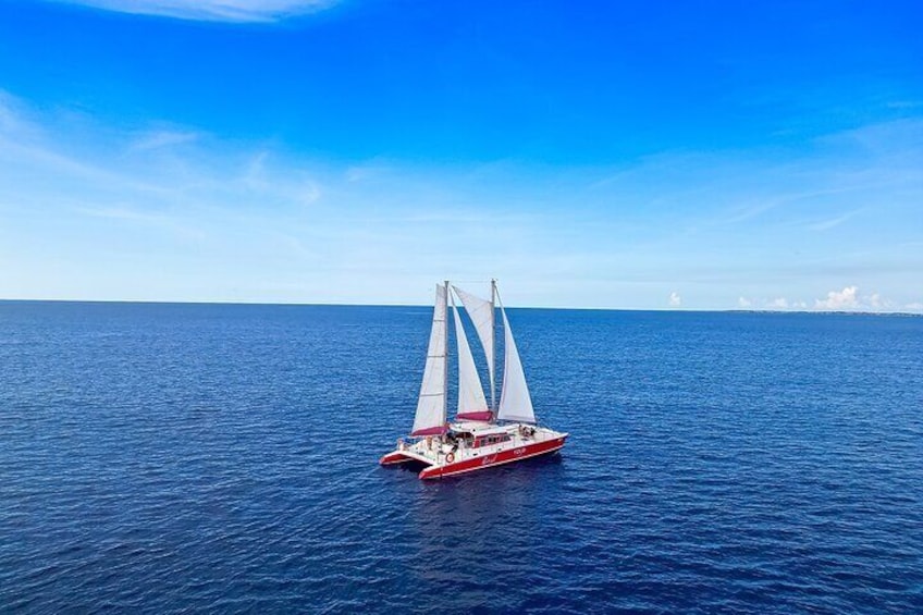 Guided Morning Sail to Boca Catalina with BBQ Lunch