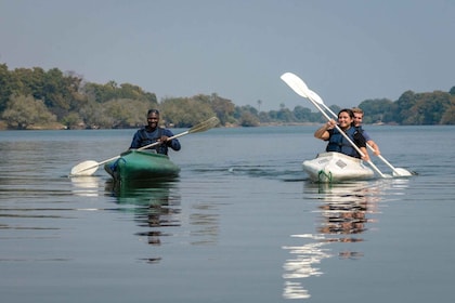 Da Livingstone: Safari in canoa di un'intera o mezza giornata