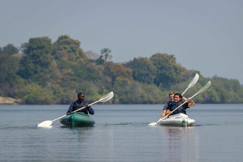 Picture 1 for Activity From Livingstone: Full or Half Day Canoe Safari