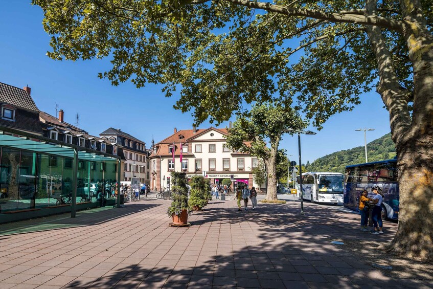 Picture 2 for Activity Heidelberg: Sightseeing Bus and Castle Tour