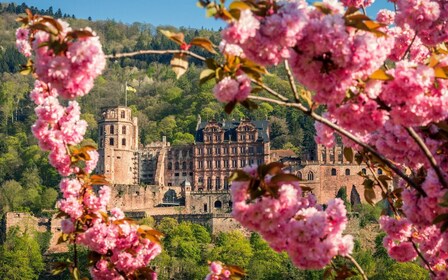 Heidelberg: Autobús turístico y visita al castillo