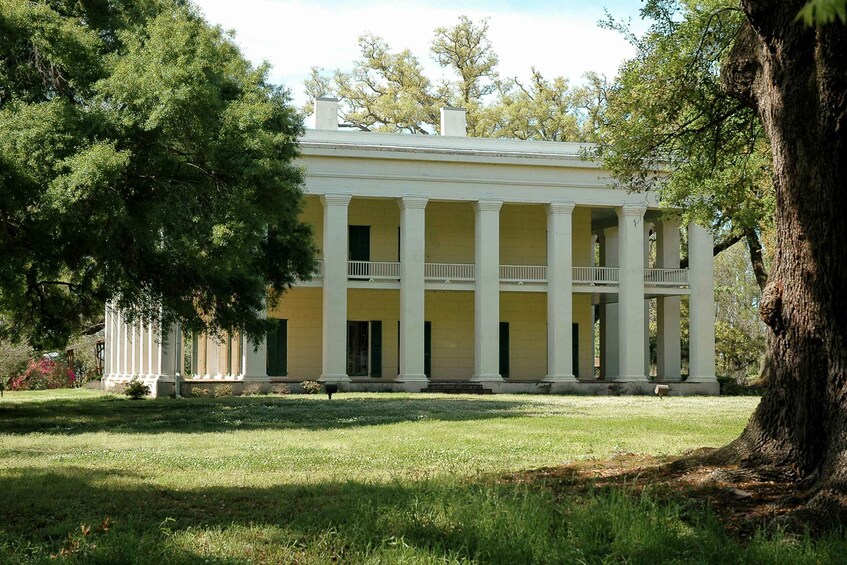 Picture 2 for Activity Louisiana: Laura, Oak Alley, or Whitney Plantation Tours
