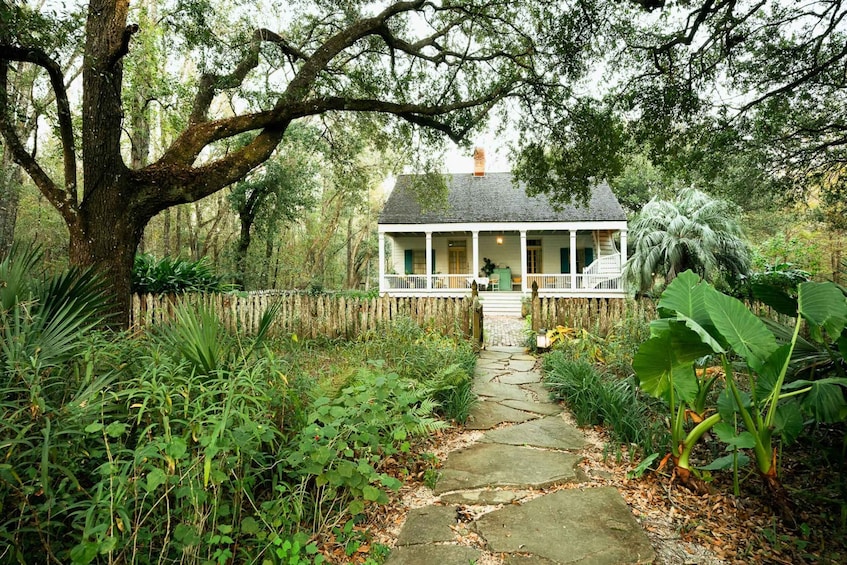 Picture 3 for Activity Louisiana: Laura, Oak Alley, or Whitney Plantation Tours