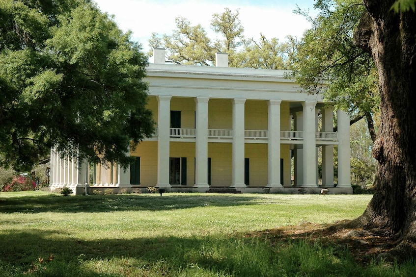 Picture 2 for Activity Louisiana: Laura, Oak Alley, or Whitney Plantation Tours