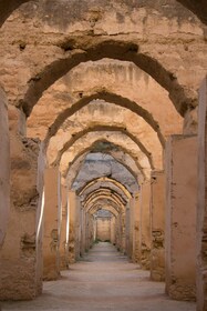 Fes: Dagtocht naar Meknes Volubilis en Moulay Idriss