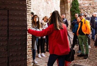 Málaga: Guidad tur till Alcazaba och romersk teater med inträde