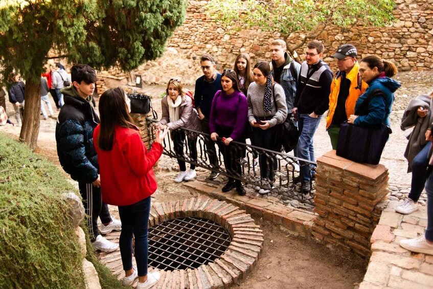 Picture 6 for Activity Málaga: Alcazaba and Roman Theatre Guided Tour With Entry