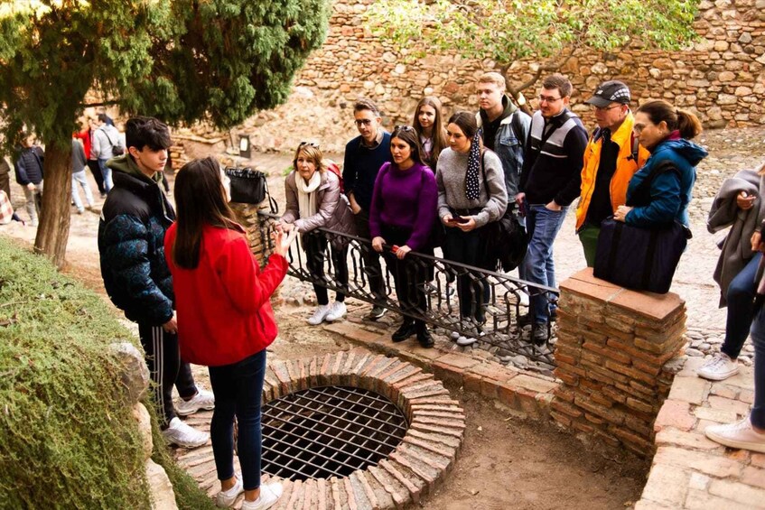 Picture 6 for Activity Málaga: Alcazaba and Roman Theatre Guided Tour With Entry