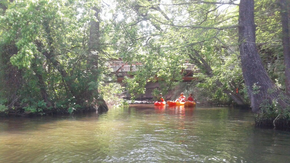 Kayakers paddle down river in Austin