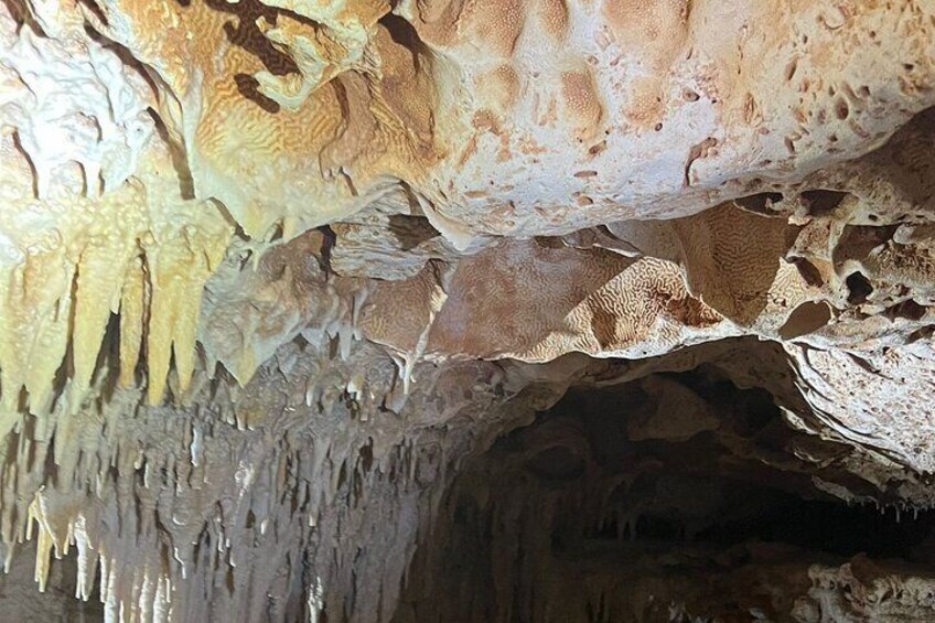 Bonaire CaveTour Climb, Snorkel & Explore the Hidden Gems 