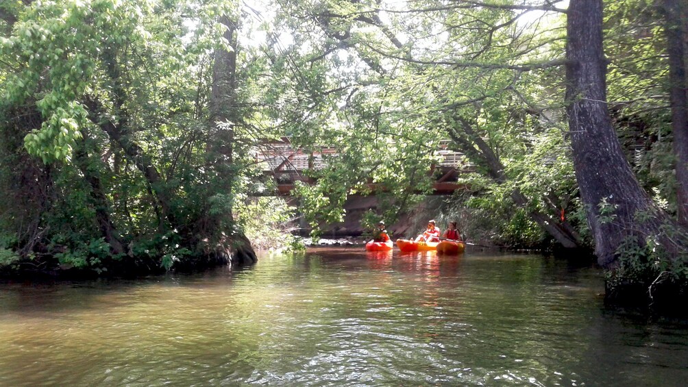 Group of kayakers on a river in Austin