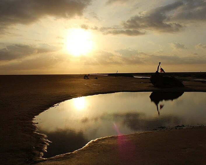 Picture 2 for Activity From Tozeur & Naftah: Watch the Sunrise at Chott Djerid