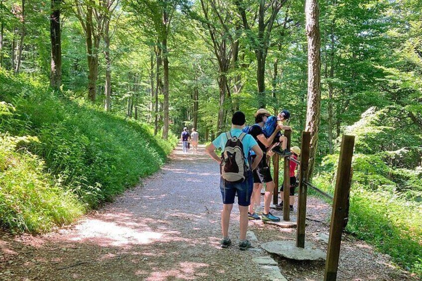 Part of the path is very easy