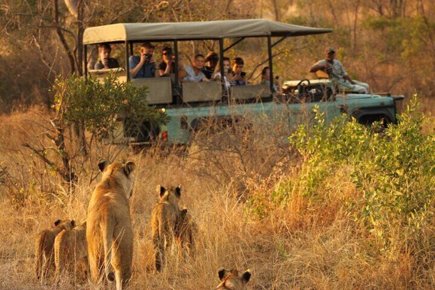 4 Days Radisson Kruger Safari Tour from Johannesburg