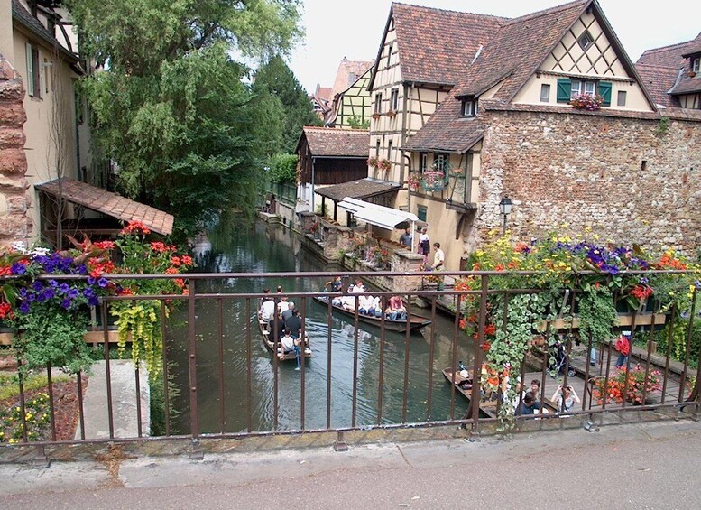 Picture 5 for Activity Colmar: 2-Hour Segway Tour