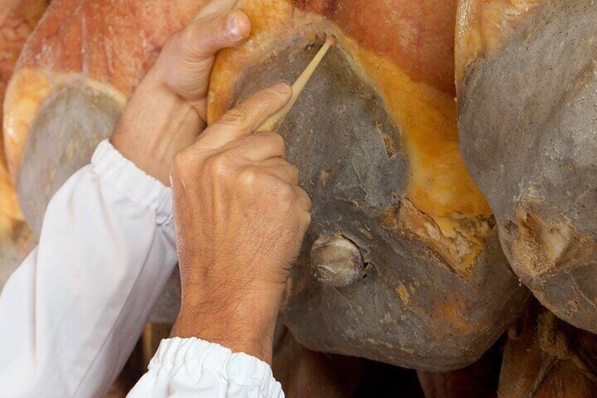 Tour at a Parma Ham Producer