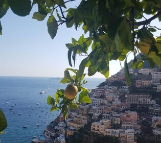 Recorrido turístico en bicicleta por la costa de Positano y Amalfi