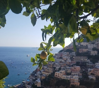 Recorrido turístico en bicicleta por la costa de Positano y Amalfi