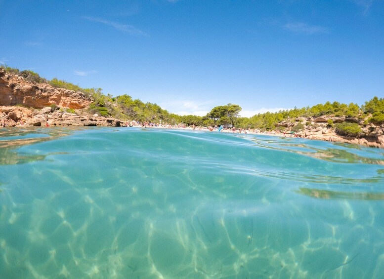 Picture 4 for Activity From Salou/Cambrils: Speedboat Tour