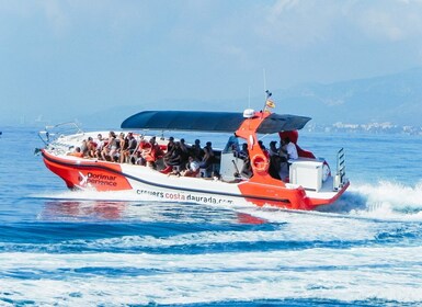 Från Salou/Cambrils: Speedboat-tur