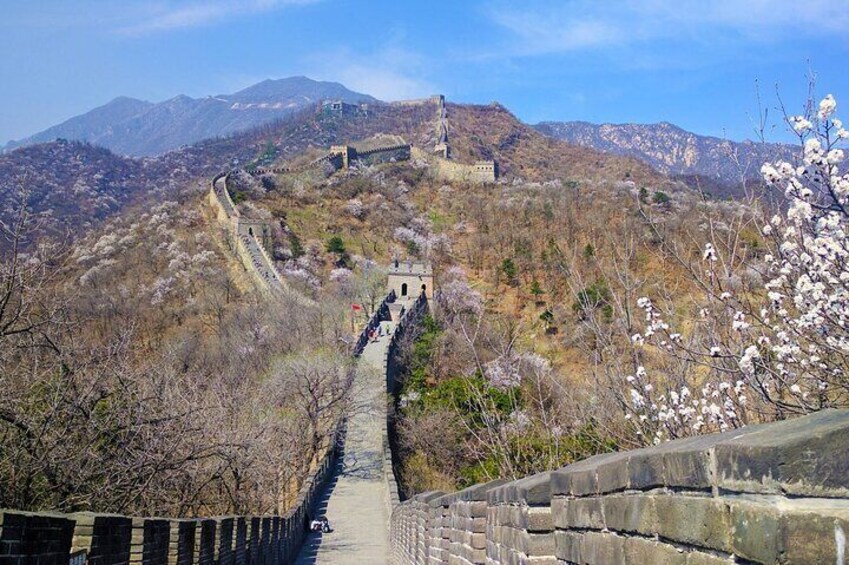 Great Wall in Beijing 