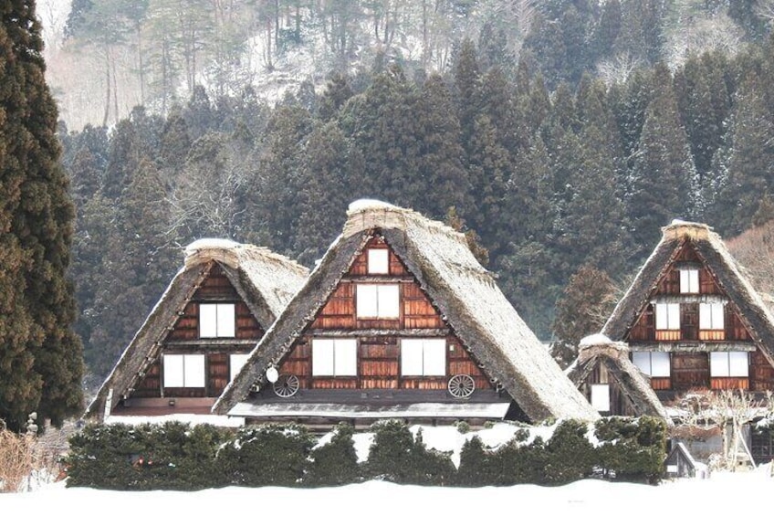 1-Day Shirakawago & Takayama Tour (Round Trip from Kanazawa)