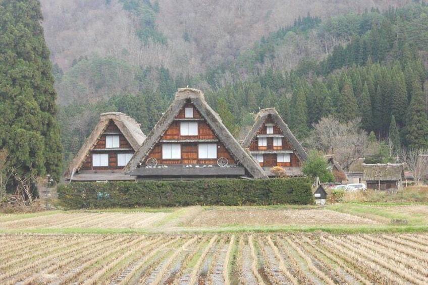 Shrakawago in Summer
