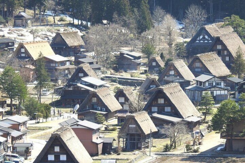 1-Day Shirakawago & Takayama Tour (Round Trip from Kanazawa)