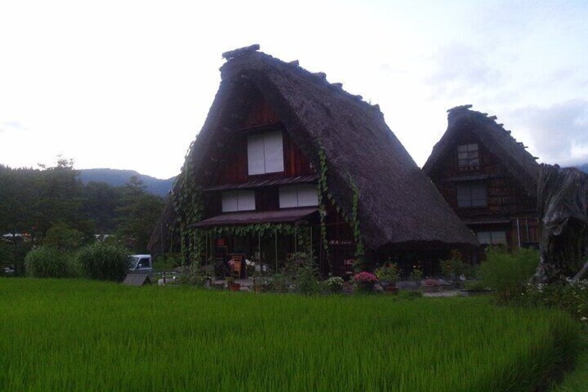 1-Day Shirakawago & Takayama Tour (Round Trip from Kanazawa)