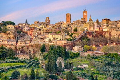 Från Rom: Dagsutflykt till Bagnoregio & Orvieto med vinprovning och lunch i...