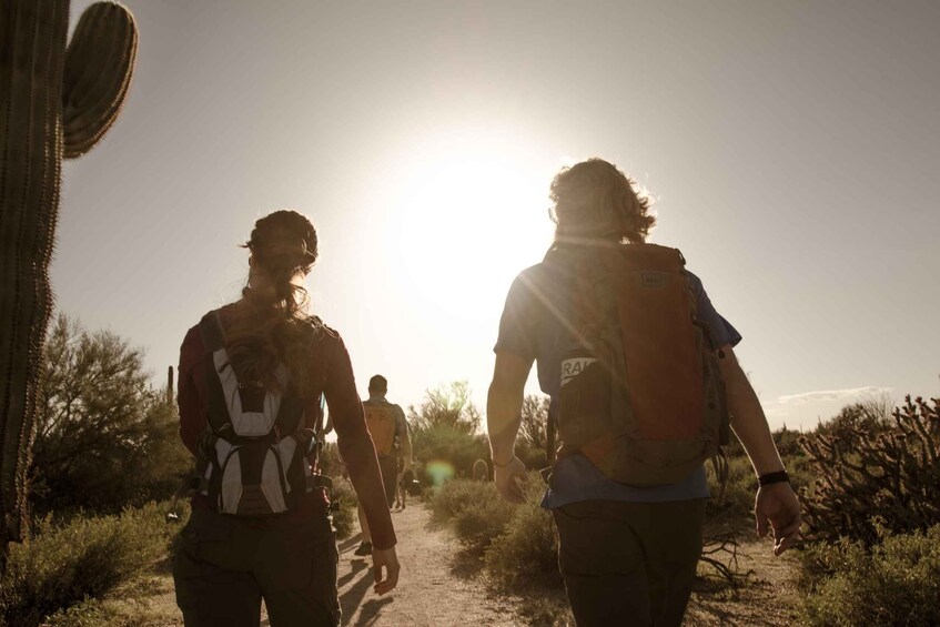 Picture 2 for Activity Scottsdale: Half-Day Sonoran Desert Hiking Tour