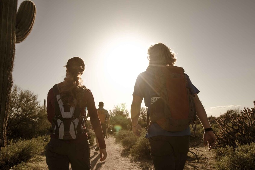 Picture 2 for Activity Scottsdale: Half-Day Sonoran Desert Hiking Tour