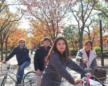 Osaka : Visite guidée de la ville à vélo excursion avec déjeuner