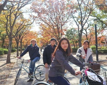 Osaka: recorrido guiado en bicicleta por los lugares más destacados de la c...