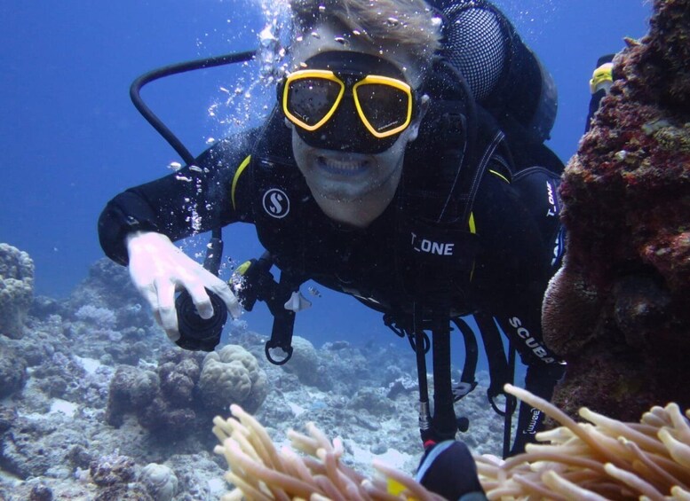 Picture 7 for Activity Discover Scuba diving in the North of Mauritius