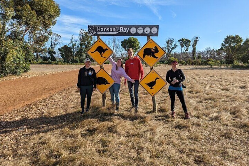 Guided Koala Walk and Bushfire ecology tour