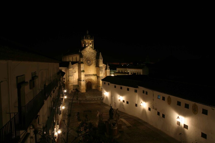 Picture 1 for Activity Cordoba at Night by Bike, Electric Bike