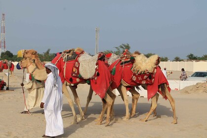 Doha: Sharing Desert Safari with Inland Sea visit