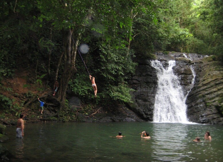 Picture 2 for Activity The Extreme Adventurer Waterfall Tour