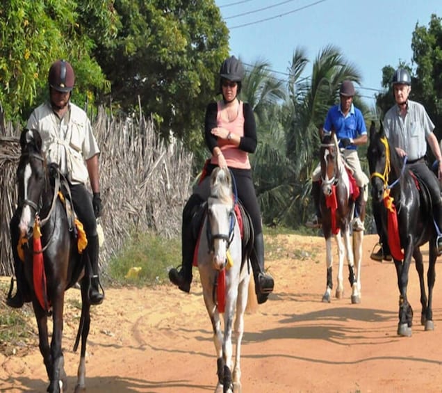 Udaipur: Evening Horse Riding Experience in the Countryside