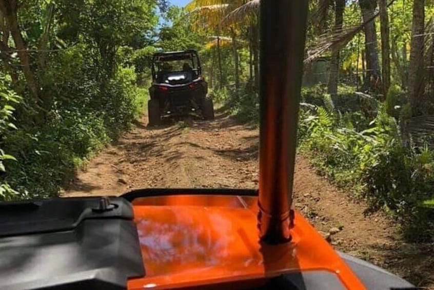 3 Hours ATV/Dune Buggy Jungle Ride & River Swim From Montego Bay