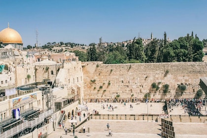 Da Tel Aviv: visita guidata di un giorno a Gerusalemme