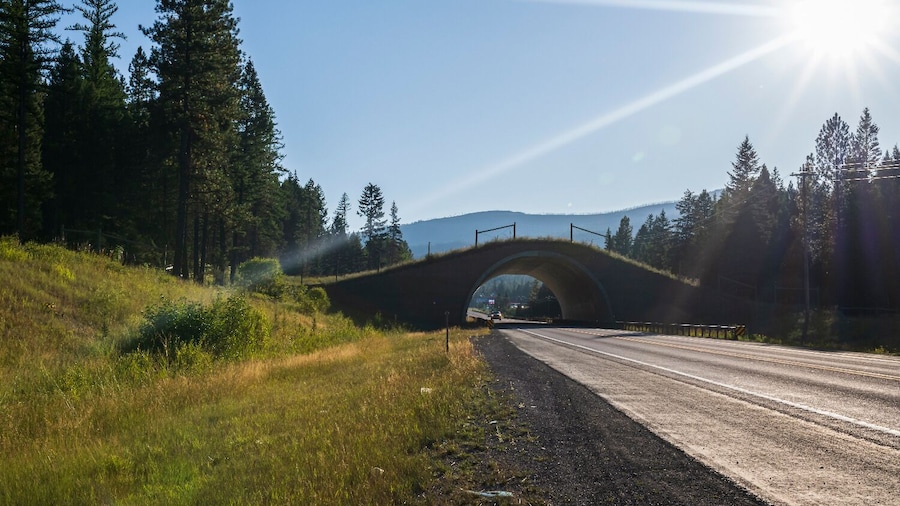 Big Sky Tour: Self-Guided Drive