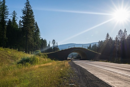 Big Sky Tour: Selbstgeführte Audio-Tour für Autofahrer