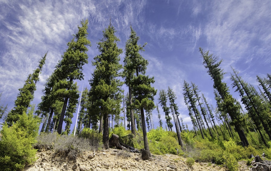 Big Sky Drive Self-Guided Driving Audio Tour