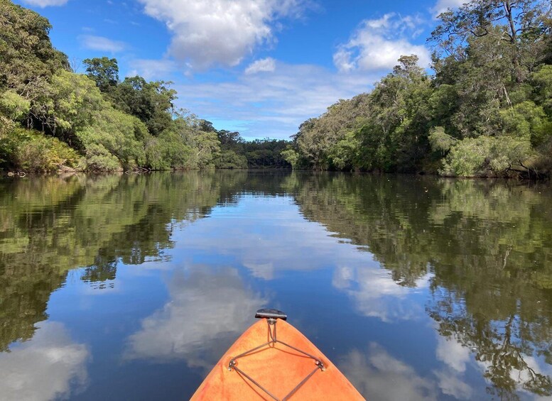 Picture 9 for Activity Margaret River: Guided Kayaking & Winery Tour with Lunch