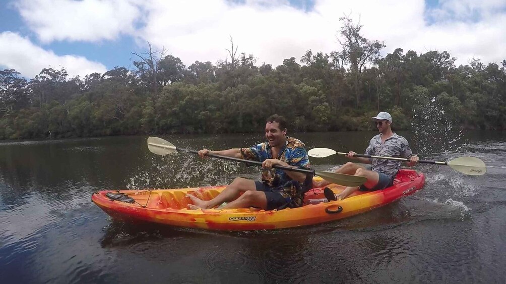 Picture 7 for Activity Margaret River: Guided Kayaking & Winery Tour with Lunch