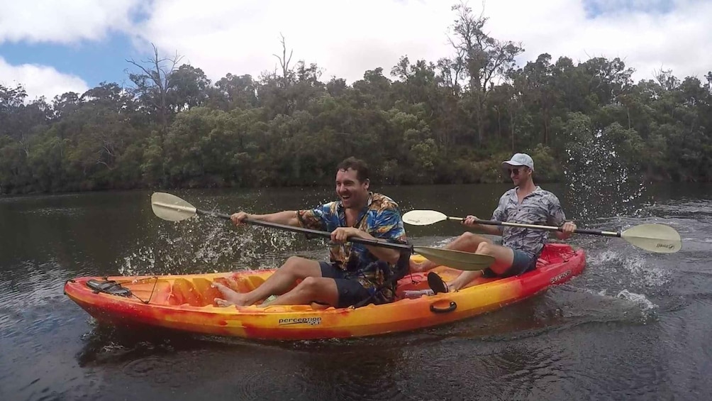 Picture 7 for Activity Margaret River: Guided Kayaking & Winery Tour with Lunch
